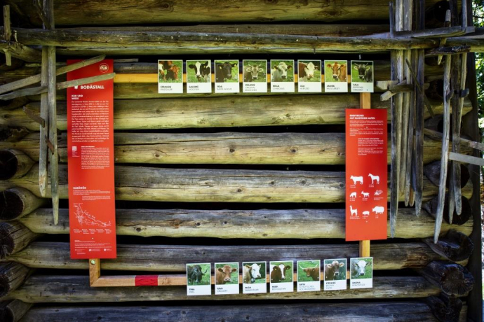 Bodästall "Kuh und Wiese" (oua_34053475_image) Bodästall "Kuh und Wiese" (oua_34053475_image)