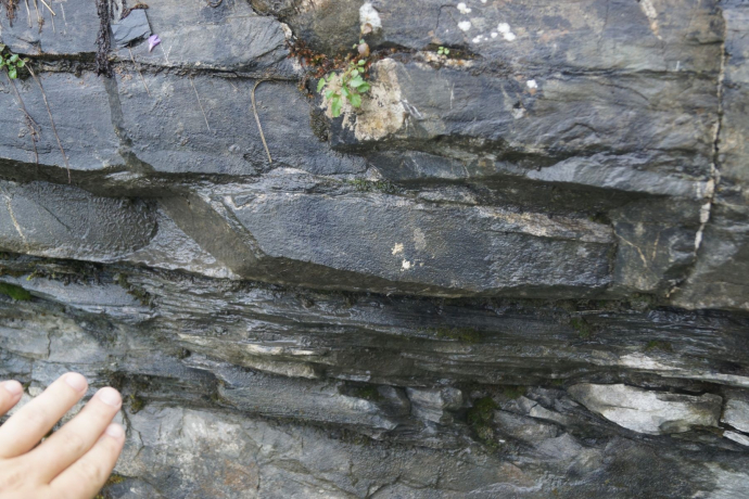 Flysch sur la Hüenerspitz Flysch sur la Hüenerspitz