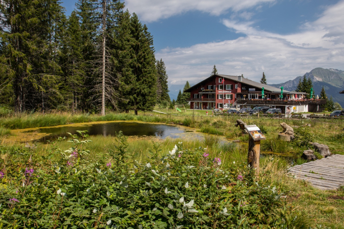 Malixerhof Brambrüesch en été Malixerhof Brambrüesch en été