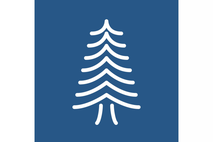 Die 200-jährige Fichte