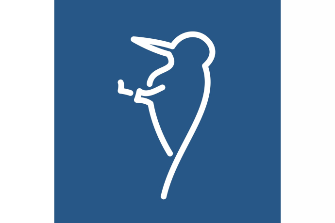 Totholz und alte Bäume