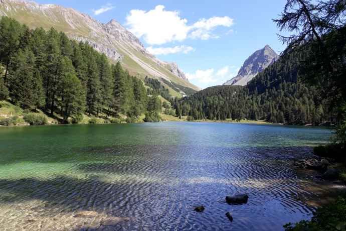 Grillstelle Lai da Palpuogna (oua_44945449_image)