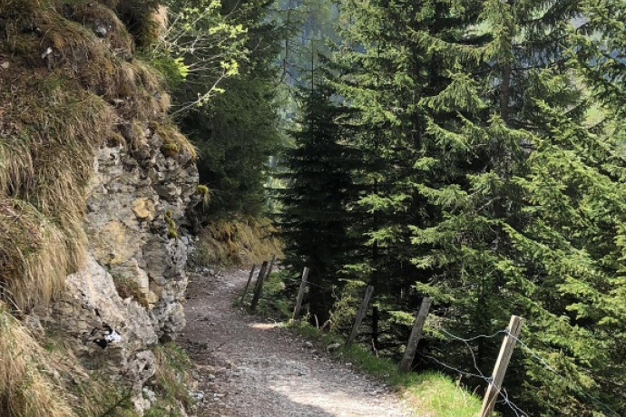 Ochsenalp-Tschiertschen Ochsenalp-Tschiertschen