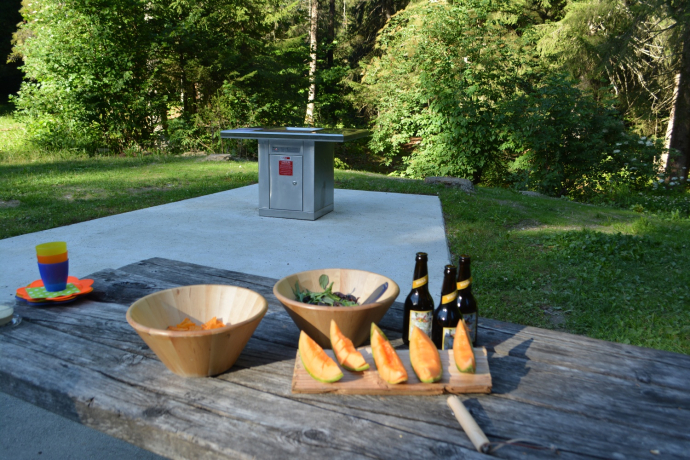 Feuerstelle Flims Waldhaus (oua_52672621_image)