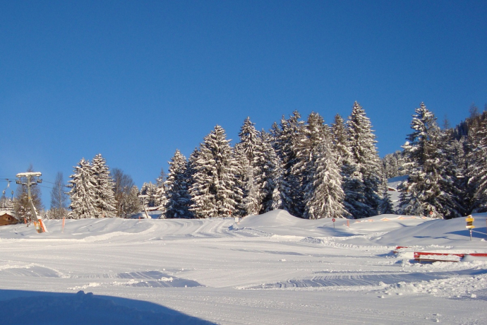 Skilift Pany (oua_53248267_image)