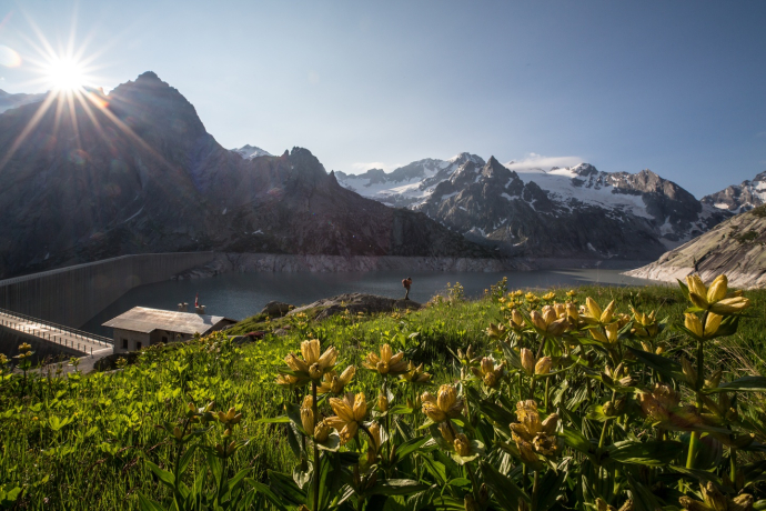 Diga dell' Albigna (oua_57059042_image)