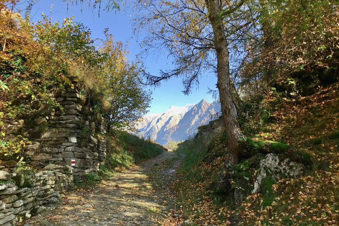 Lan Müraia e Nossa Dona (oua_57555121_image)