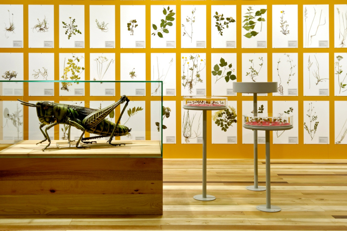 Musée de la nature des Grisons Musée de la nature des Grisons