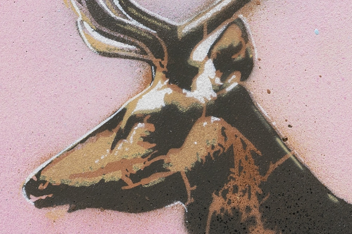 Cervi - Andergia - mMoMAm (oua_602105807_image)