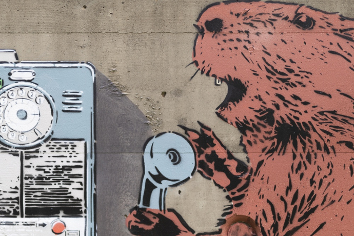 Castori - Deira - mMoMAm (oua_602105913_image)