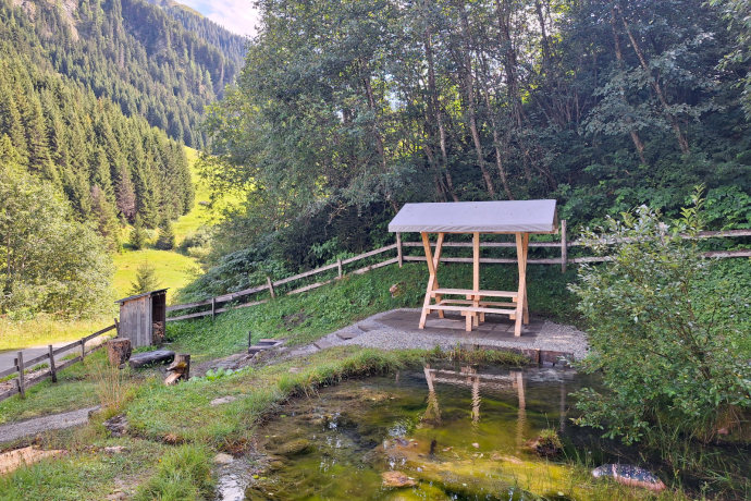 Feuerstelle mit Biotop