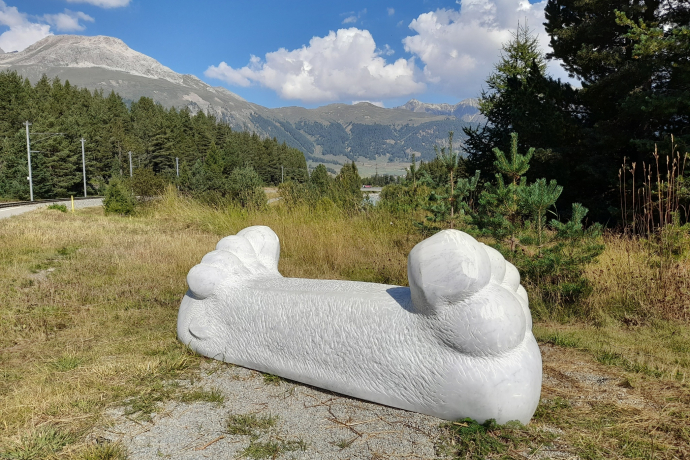 Mountainbike-Tour mit dem Bernina Express von Samedan über Pontresina nach Ova da Morteratsch (oua_602834851_image)