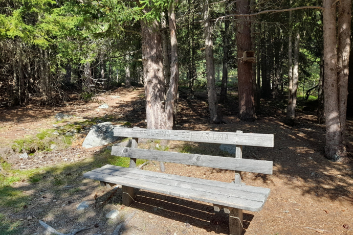 Banc Stazerwald (oua_602835181_image) Banc Stazerwald (oua_602835181_image)