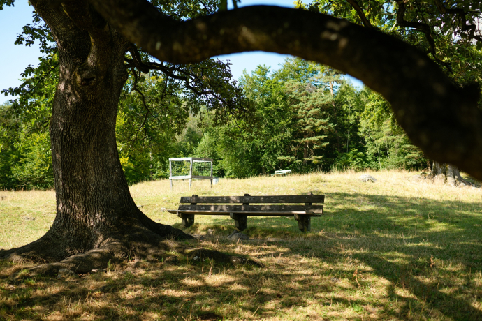 Ruhebänkli Heidibrunnen