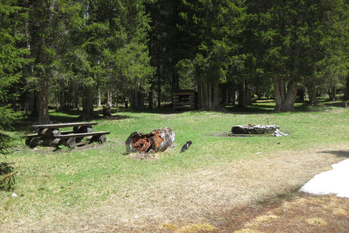 Feuerstelle Iselwald Feuerstelle Iselwald