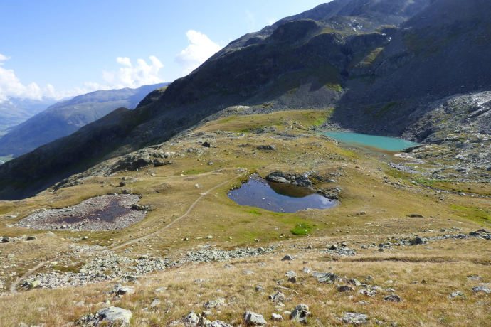 Bergsee Lej da l'Ova Cotschna (oua_604488540_image)