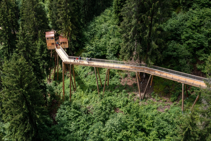 Senda dil Dragun, Baumwipfelpfad (oua_60534770_image) Senda dil Dragun, Baumwipfelpfad (oua_60534770_image)