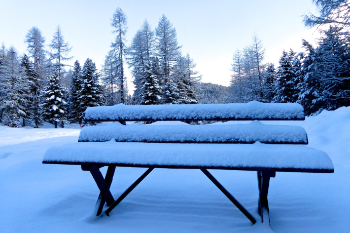 Panca Val Roseg (oua_605632892_image) Panca Val Roseg (oua_605632892_image)