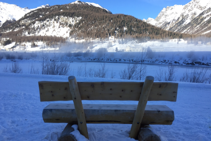 Panca Gravatscha (oua_605633068_image) Panca Gravatscha (oua_605633068_image)