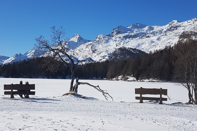 Panche al Lago di Sils (oua_605633080_image) Panche al Lago di Sils (oua_605633080_image)