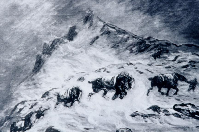A mule train fights its way through the snow. A mule train fights its way through the snow.