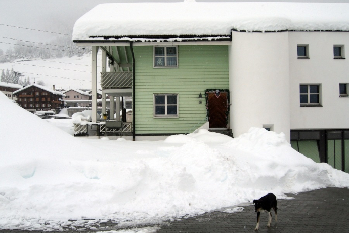 Casa Salaplauna (oua_60856620_image) Casa Salaplauna (oua_60856620_image)