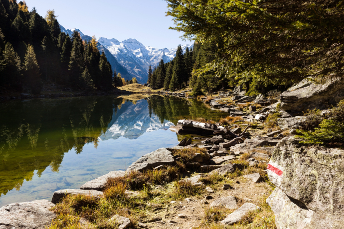 Lai Lung (oua_611519468_image) Lai Lung (oua_611519468_image)