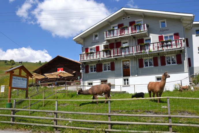 Auberge Alpina (oua_611519842_image) Auberge Alpina (oua_611519842_image)