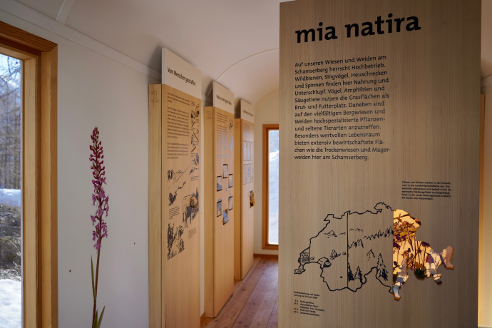 Exposition "mia natira - prairies et pâturages du Schamserberg". (oua_611520165_image) Exposition "mia natira - prairies et pâturages du Schamserberg". (oua_611520165_image)