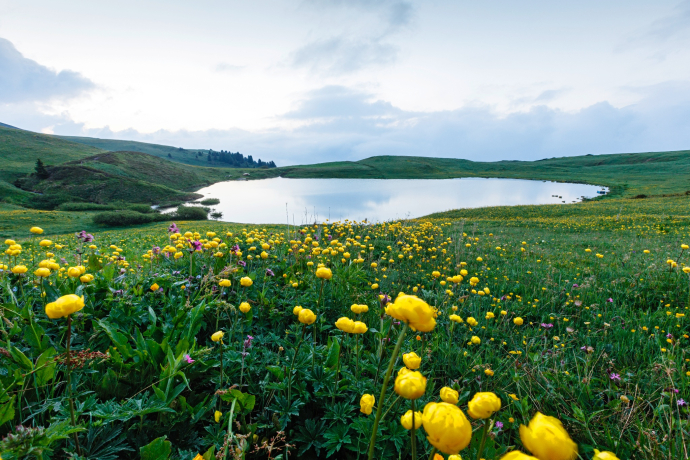 Lake Libi (oua_611520387_image) Lake Libi (oua_611520387_image)