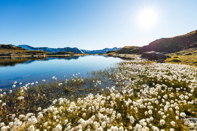 Laghi di Flüe (oua_611520511_image)