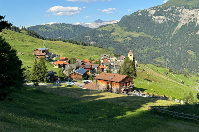 Ustreia Orta (oua_611520515_image)