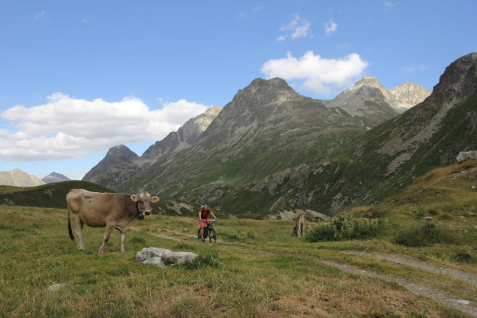 Chamanna Jenatsch SAC (oua_620271102_image)