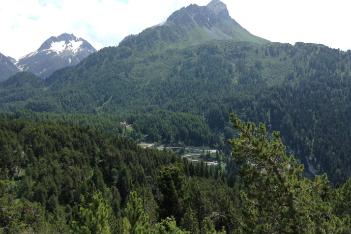 Col de la Maloja (oua_620278997_image) Col de la Maloja (oua_620278997_image)