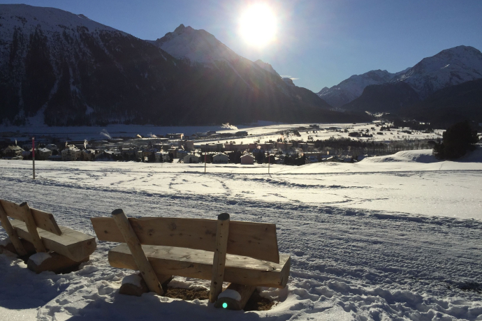 Panchine Survih (oua_621867175_image)