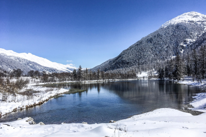 Lake Gravatscha (oua_621867197_image)