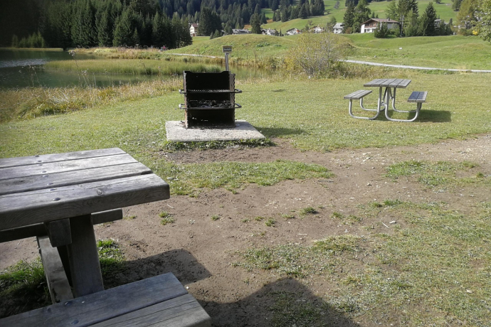 Canols Fire Pit Canols Fire Pit