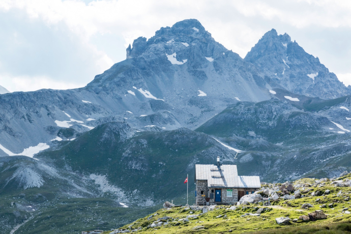 Anarosa (oua_63686419_image)