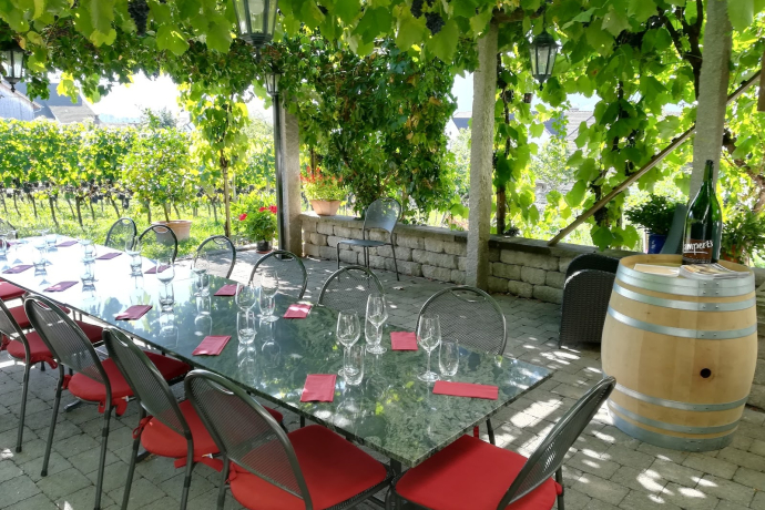 Weingut Heidelberg, Maienfeld Weingut Heidelberg, Maienfeld