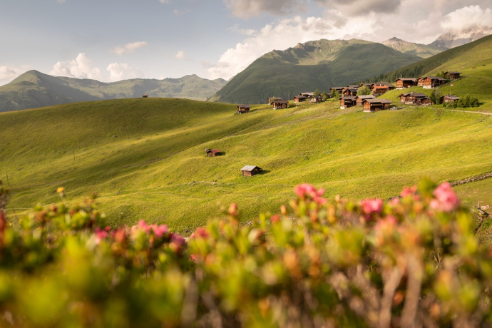 Walserdorf Medergen (oua_66817756_image)