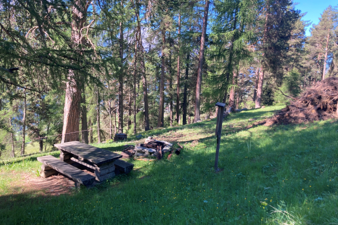 Feuerstelle Plan Mus-chan (oua_71531960_image) Feuerstelle Plan Mus-chan (oua_71531960_image)