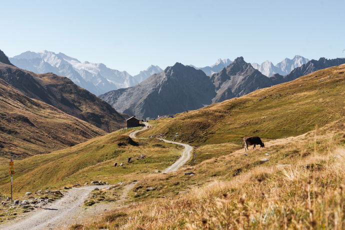 Randonnée sur la Via Sett de Capolago à Casaccia par le Pass da Sett (col du Septimer) (oua_73743094_image) Randonnée sur la Via Sett de Capolago à Casaccia par le Pass da Sett (col du Septimer) (oua_73743094_image)