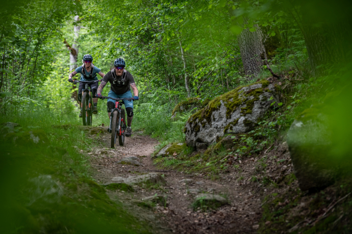 zwei Mountainbiker im Wald am runterfahren zwei Mountainbiker im Wald am runterfahren