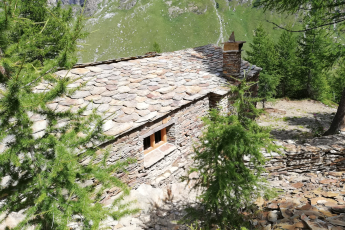 Cheva Plattas da Fex (oua_75530793_image)