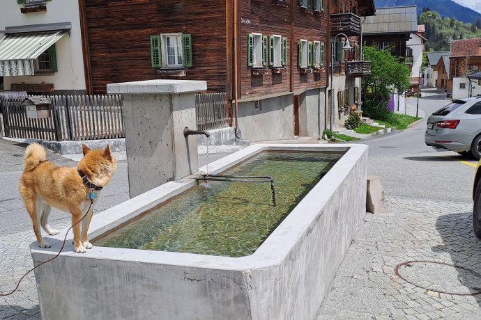 Wasserbrunnen Vitg Pign Flims Dorf (oua_79181788_image)