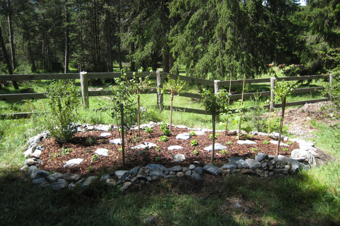 Insect Show Garden Don Bosco