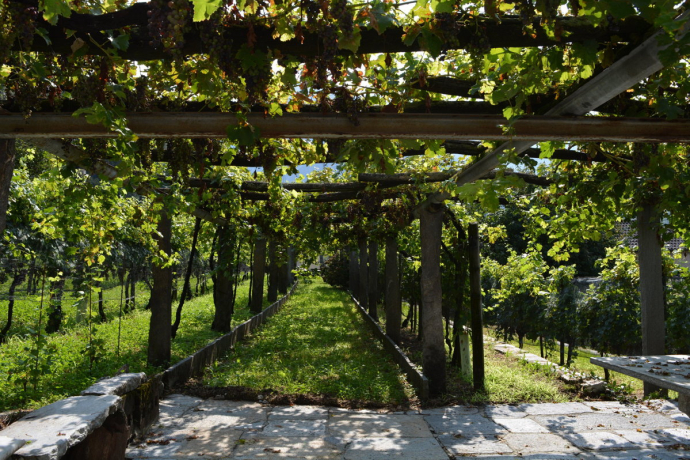 Cantina Ai Filat (oua_99461219_image) Cantina Ai Filat (oua_99461219_image)