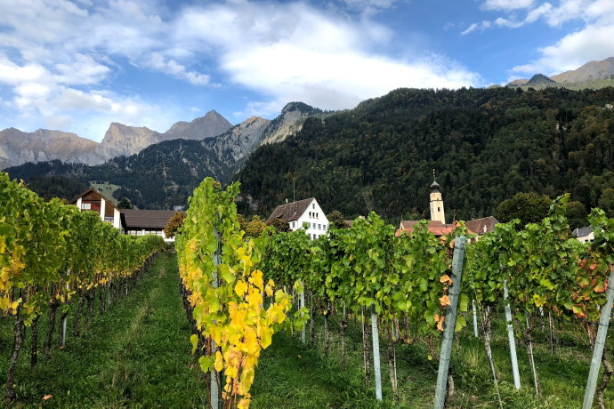 Jürg Obrecht Weine Jenins (ctd_52075ba5-2e24-4647-ae65-0da209ac48e8_image)