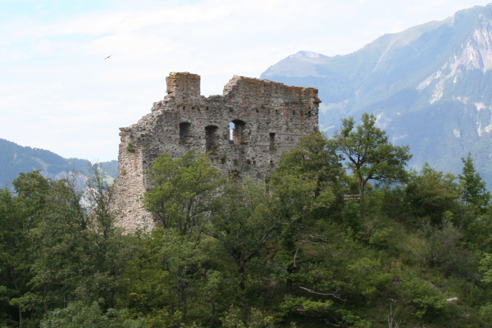 Burgruine Wartenstein (ctd_5bed762d-34e8-4bae-bb17-8c63c3c6a057_image)