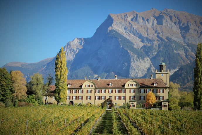 Weingut Schloss Salenegg (ctd_753c734e-963f-4b8b-ae3a-21fd0ae8bbc7_image) Weingut Schloss Salenegg (ctd_753c734e-963f-4b8b-ae3a-21fd0ae8bbc7_image)